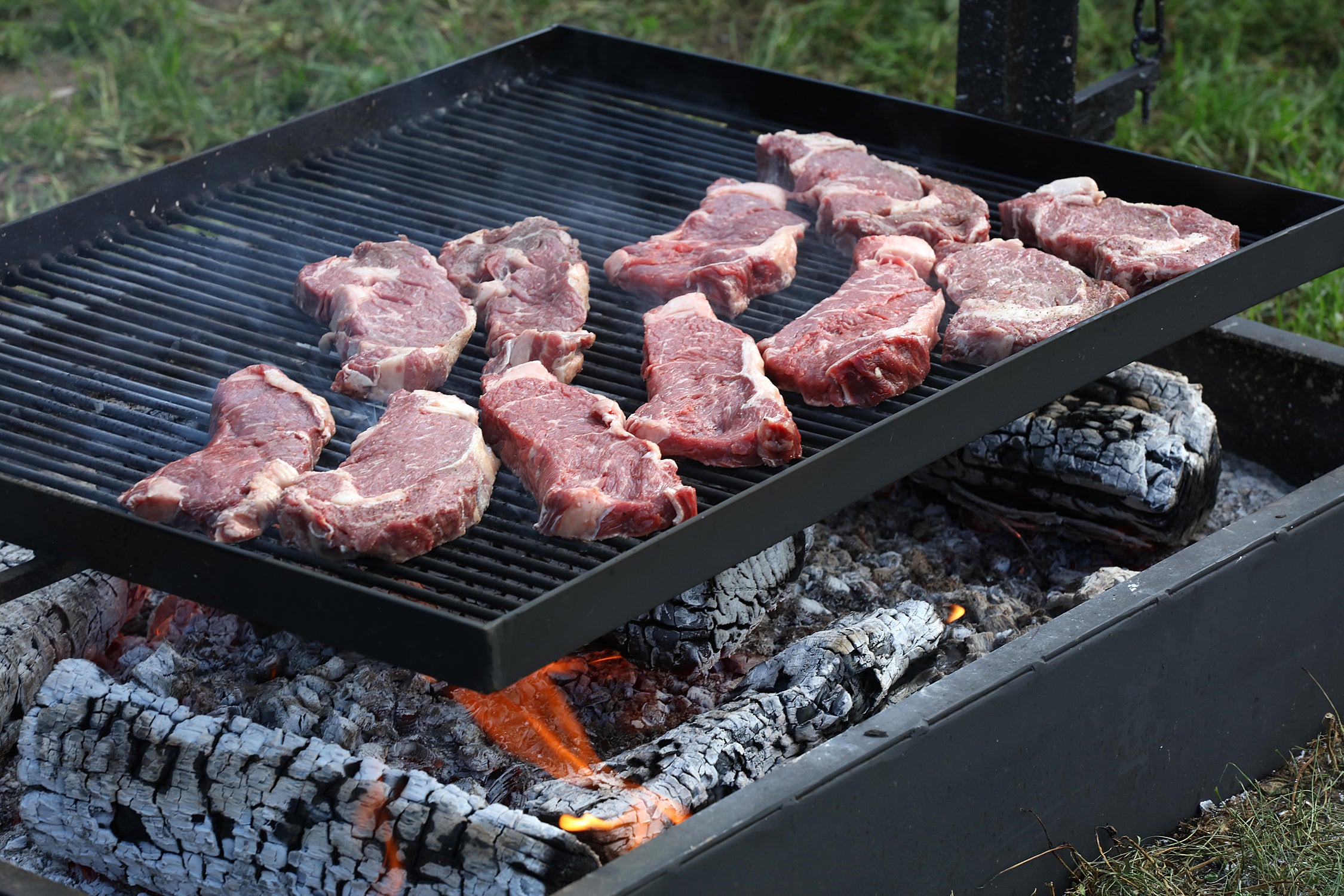Enright Beef