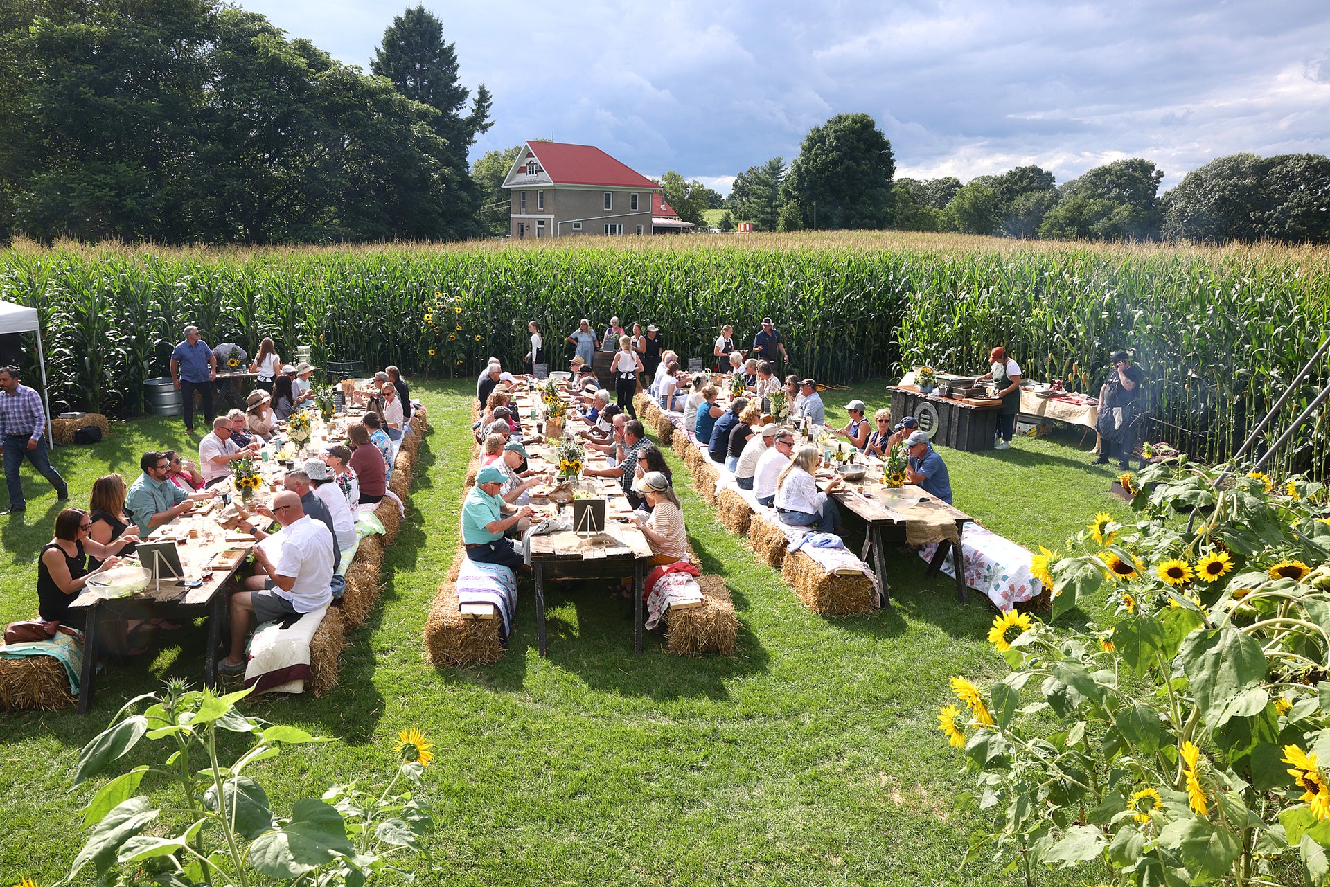Dinner in a crop circle